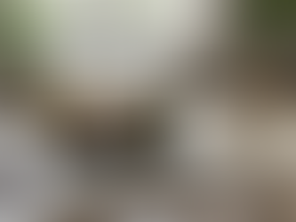 Book Your Online Family Workshop Today: Empowering Langley Families