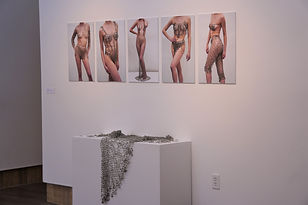 Pinched Exhibit.JPG