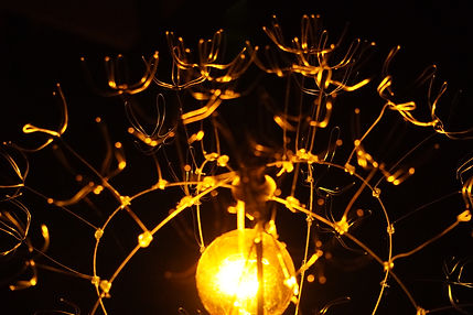 Electric Flora Detail.JPG