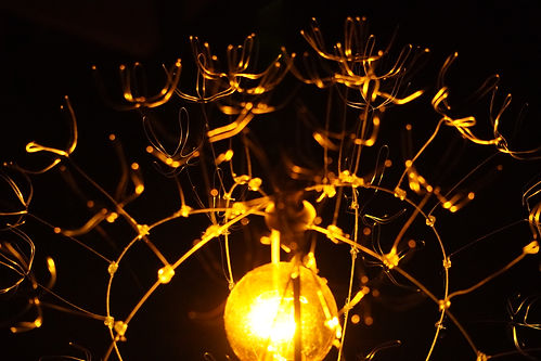 Electric Flora Detail.JPG