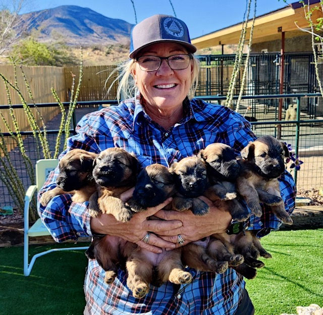 Wild West Wheatens