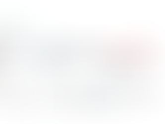 The Create Purchase Orders feature on the Sales Order page in Business Central which can be used to quickly and accurately create new Purchase Orders for drop shipments