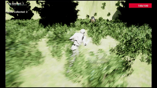 GameplayDW.gif