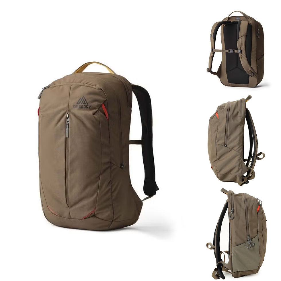 縮圖：●預訂貨品● 日版🇯🇵 Gregory Retna 25L Backpack