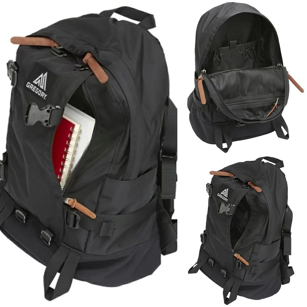 縮圖：●預訂貨品● Gregory All Day 24L Backpack