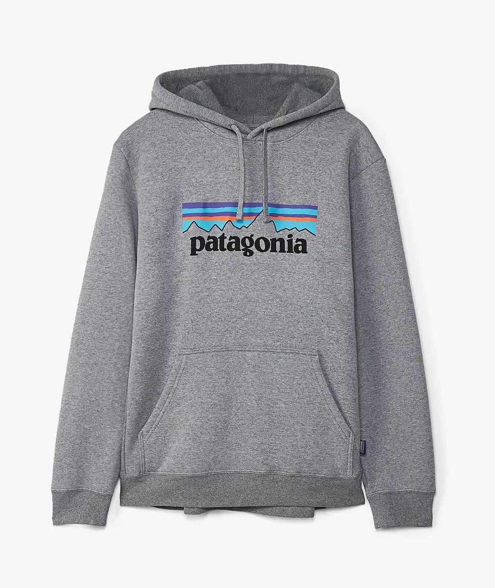 縮圖：●預訂貨品● Patagonia P-6 Logo Hoodie