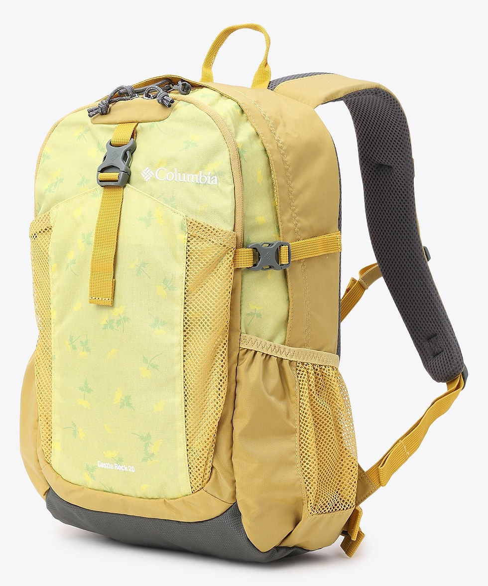 縮圖：●預訂貨品● 日版 Columbia Castle Rock 20L Backpack II
