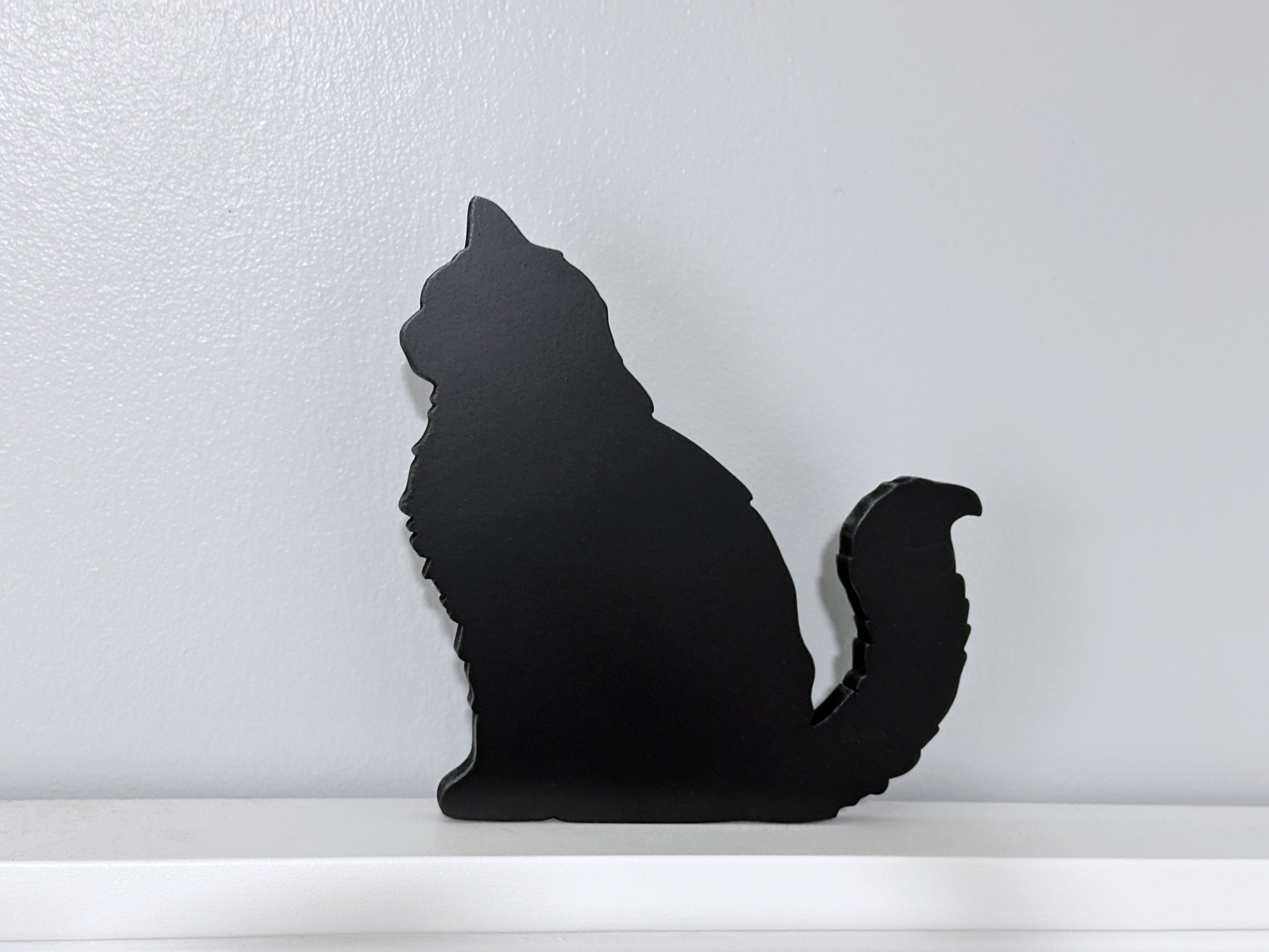 Long haired sitting cat
