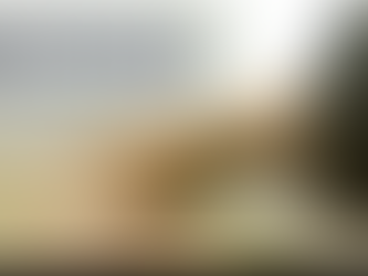 Acupuntura - Ponto IG 4