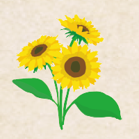 sunflower.png