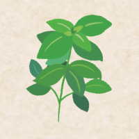 basil.png