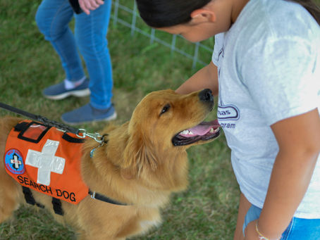 photo d'un chien professionnel de recherche