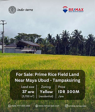 Freehold land for Sale near Maya Resort Ubud in Tampaksiring
