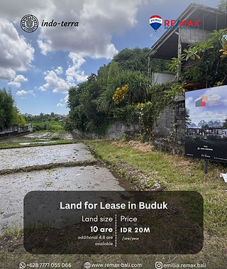 Land for leasehold in Buduk Mengwi
