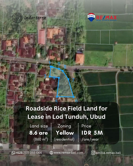 Land for Lease in Prime ubud Location Lod Tunduh