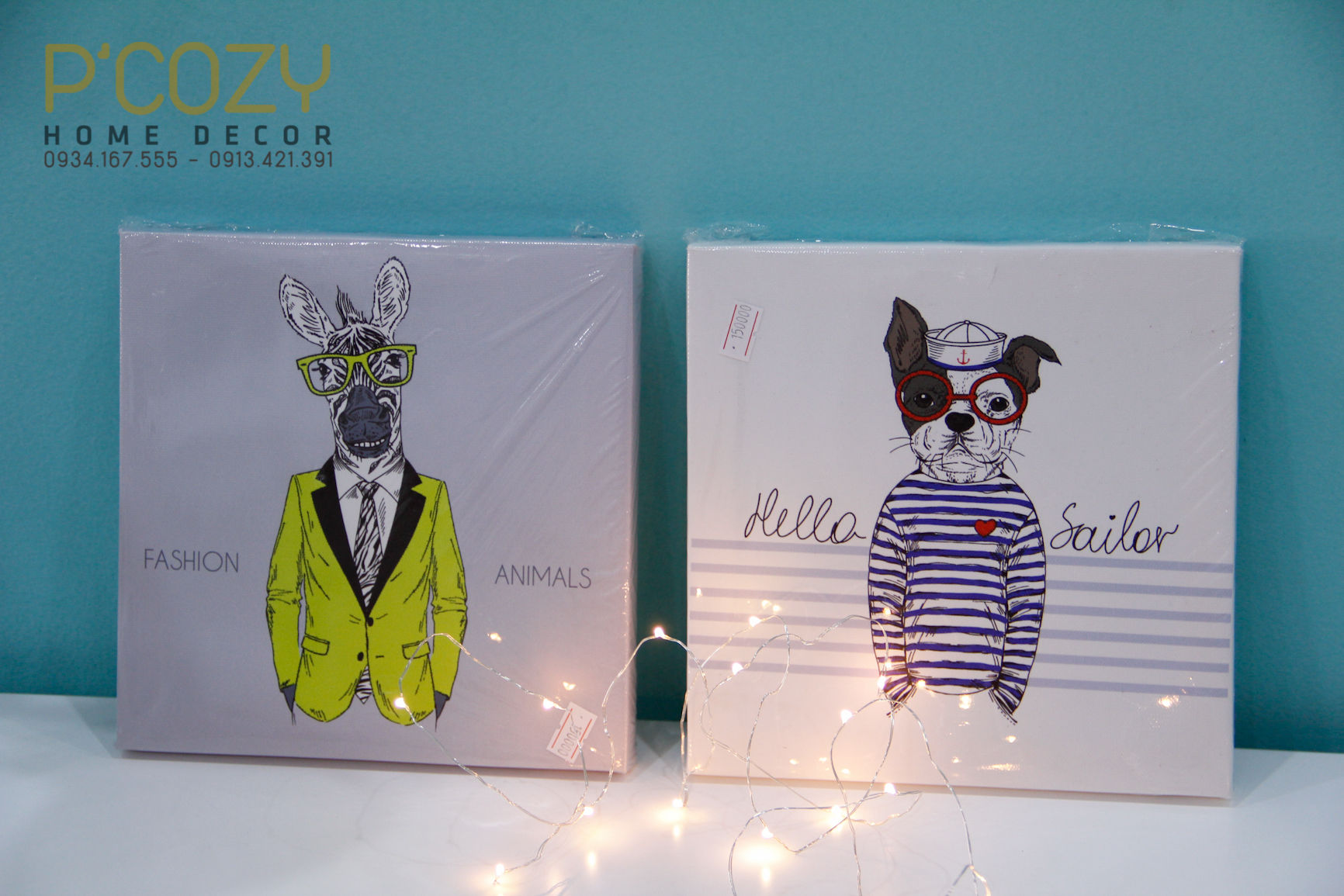 Thời Trang Động Vật