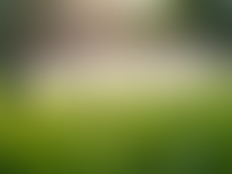 Is Installing an Irrigation System Worth It: Exploring the Pros and Cons