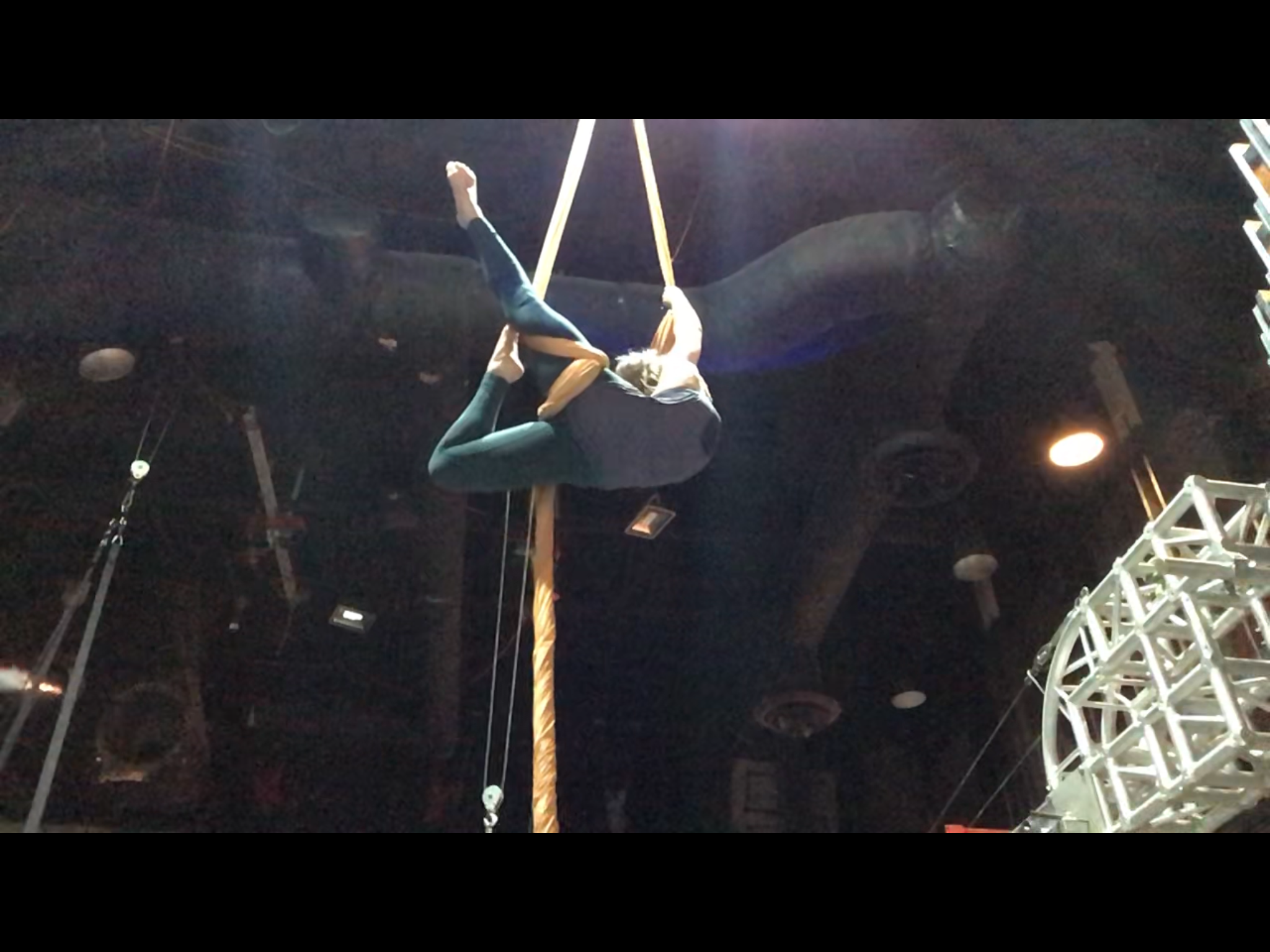Silks