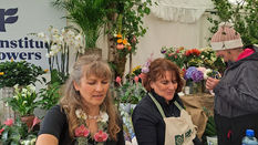 Institute of Flowers at Bloom Dublin 2025