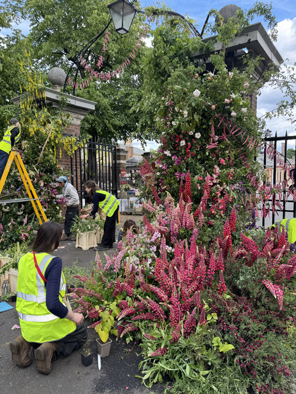 rhs-chelsea-flower-show-2026-photo-gallery