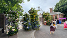 Seasonal flowers in the UK: British Grown flowers for Spring Summer Autumn & Winter