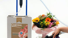 Precision in Bloom: Using Dosing Pumps for Optimal Flower Care