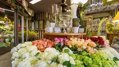What to consider when opening a Florist retail shop or studio
