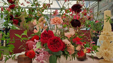 British Flowers Week 2025