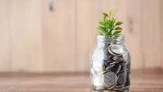Financial Wellbeing in the Workplace
