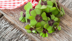 St Patrick’s Day: the Power of Green