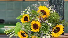 Seasonal Flowers & Foliage for September