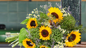 Seasonal Flowers & Foliage for September