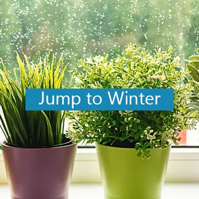 Jump to winter button