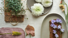 Flower Council of Holland Trends Overview 2025