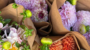 Private Healthcare Is Peace Of Mind