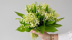 Preparing Lily of the Valley for Stunning Blooms: Step-by-Step Guide
