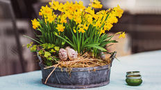 Quick and Simple Easter Design Inspiration Featuring Floristry Tips From Su Whale