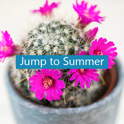 Jump to summer button