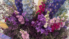 RHS Chelsea Flower Show Awards Announced - Floral Creations