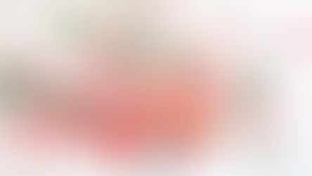 David Austin Introduces Two Exquisite New Wedding Roses