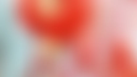 Chinese New Year 17th February 2026