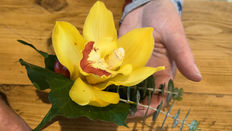 Su Whale's Orchid Buttonhole Tutorial
