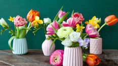 Spring Flowers Conditioning Guide