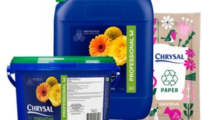 Long-Lasting Flowers Start with the Right Products and Processes