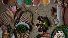 Autumn Trends - Meaningful Earth