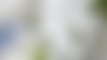 Pantone Colour of the Year 2026: Hit or Miss?