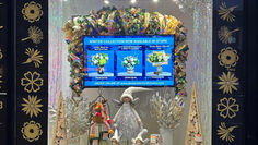 Christmas Window Displays