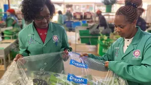 Together we Grow: Marginpar and Chrysal Partnership