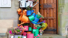 Shop Displays: Captivating Customers