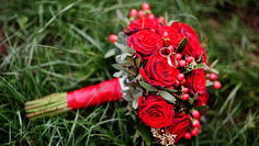 Hypericum - Everything you Need to Know